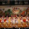2015.01.31 Kappenball der KKG-Oeding